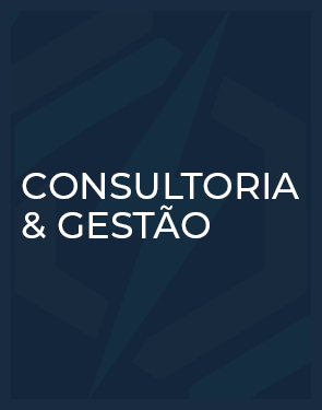 CONSULTORIA-GESTAO3.png